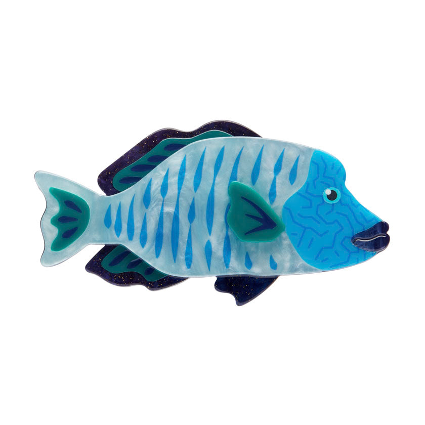 Erstwilder Maori Wrasse Brooch