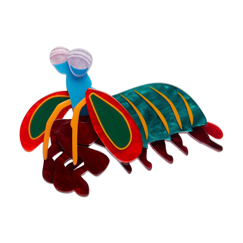 Erstwilder Peacock Mantis Shrimp Brooch