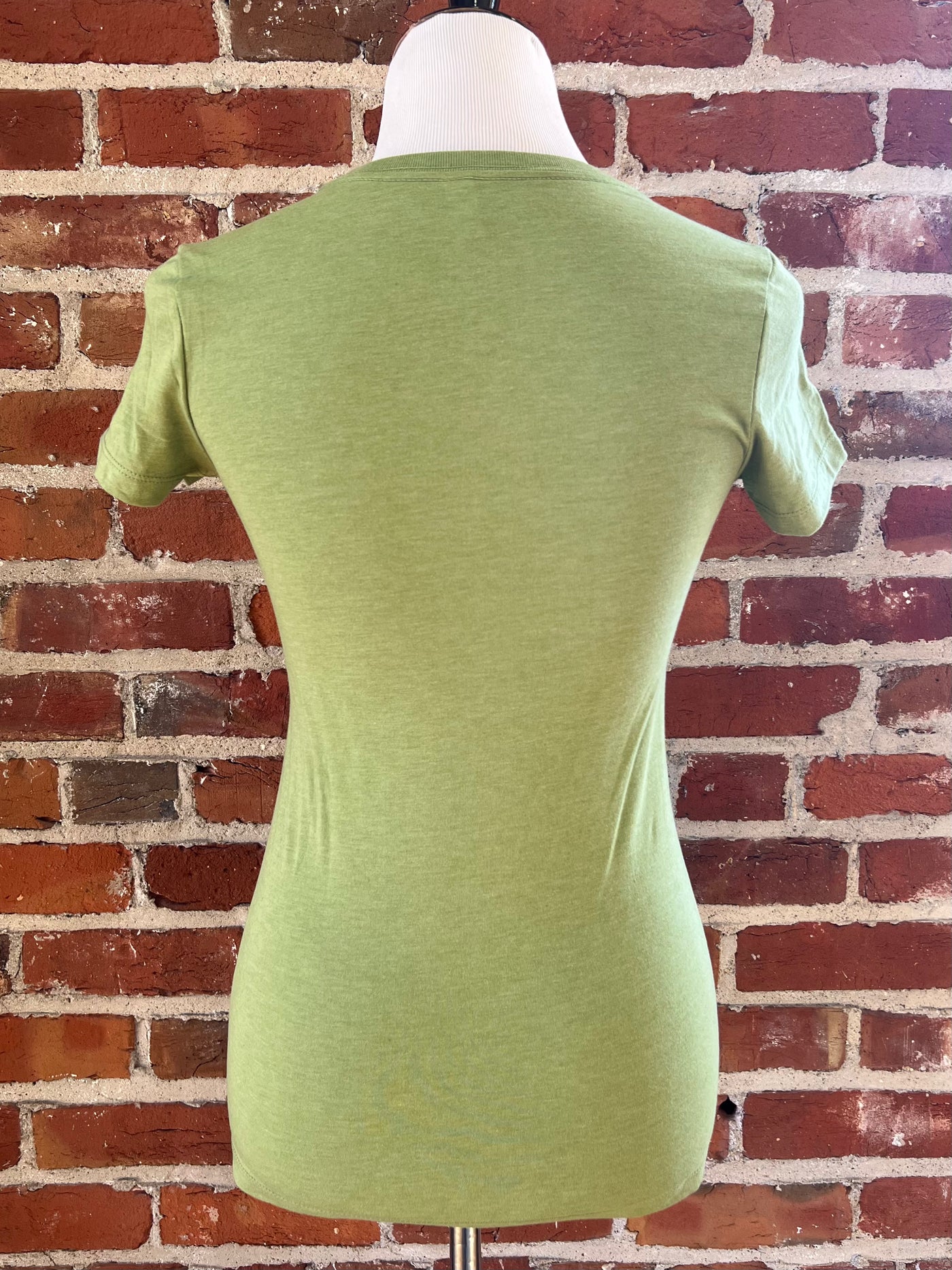Vintage Style NOT Vintage Values Tee in Spring Green